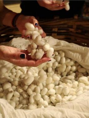 apostolh_s02_ep6_mouseio_metaxiou_souvli