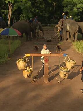 asia_express_e19_nikites_epathlou