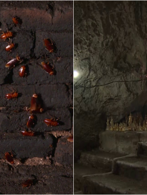 asia_express_e21_moustaki-vasalou-karta