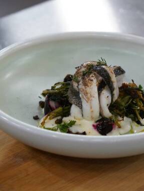 mc6_ep58_syntagi_ioannidis