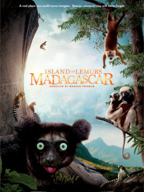 island_of_lemurs_madagascar-287x382