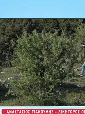 stargr_zina_64xronos_thessalonikh_tsimentolithos