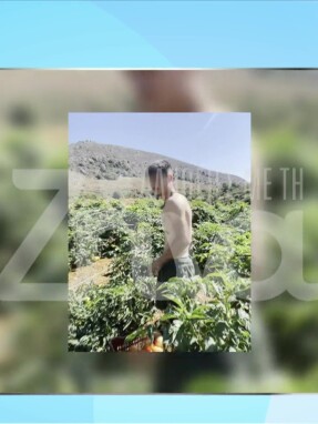stargr_zina_nikitas_dolofonia_martyria_sok