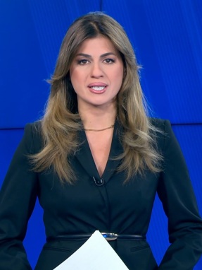 mesdelt_081026