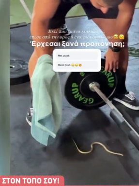 stargr_breakfast_tounh