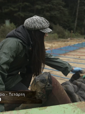 farma-trailer-171125