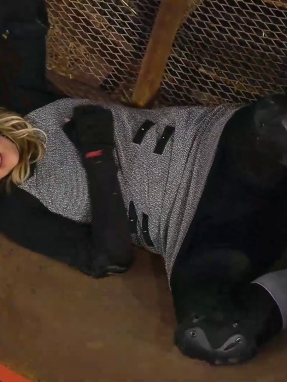 farma_s03_ep15-_tzwrtzina_vs_valentina_poia_kerdise