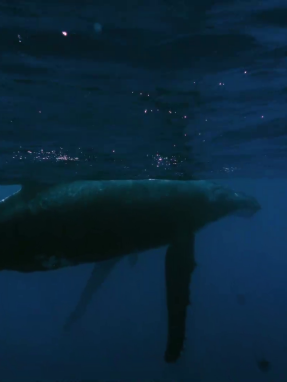 route360_s01_ep18_kolimpi_falaina