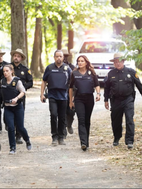 l_o_svu-s24-ep4