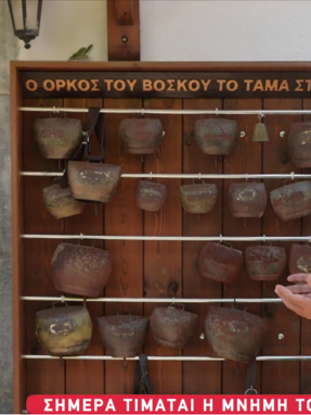 stargr_zina_agios_georgios_transfer