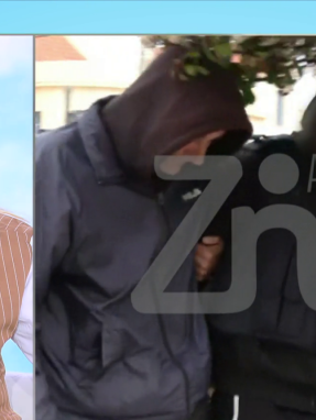 stargr_zina_arsivaristas_oloklhro_transfer