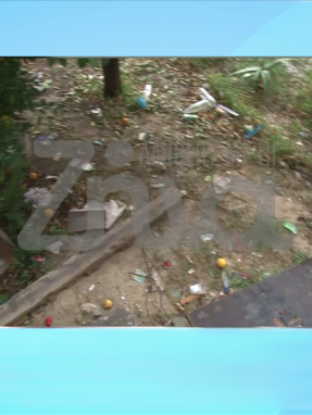 stargr_zina_exelixeis_kakopoihsh_krhth_transfer