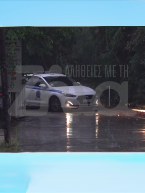 stargr_zina_foinikounta_ankritria_transfer