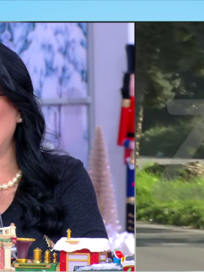 stargr_zina_foinikounta_opla_transfer