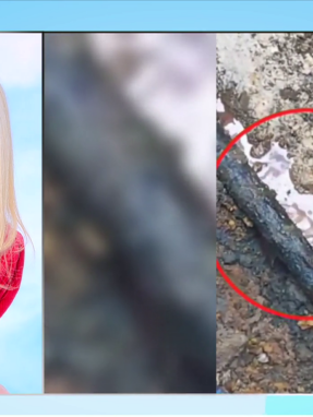 stargr_zina_fotografika_ntokoumenta_violanta_transfer