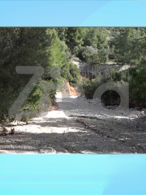 stargr_zina_iatrodikastikh_nea_peramos_transfer