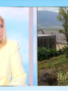 stargr_zina_idiokthths_zoon_taratsa_transfer