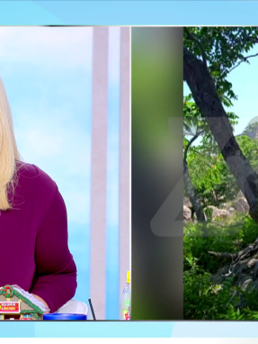 stargr_zina_katatheseis_46xronh_new_transfer