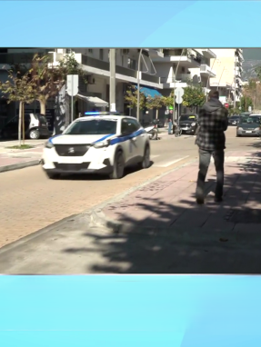 stargr_zina_kathgorhthrio_foinikounta_transfer