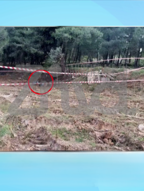 stargr_zina_osta_valitsa_xalkidikh_transfer