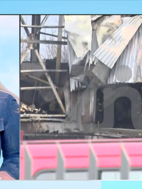 stargr_zina_pragmatognomones_violanta_transfer