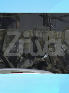 stargr_zina_proistamenos_paragoghs_violanta_transfer