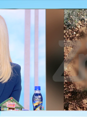 stargr_zina_skylos_nea_mixaniona_transfer