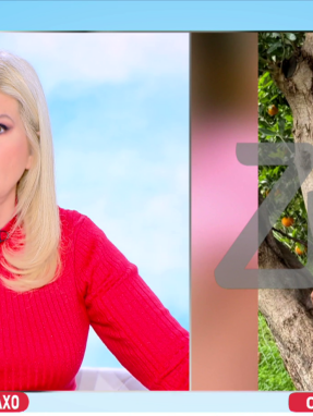 stargr_zina_taxitzhs_exafanish_transfer