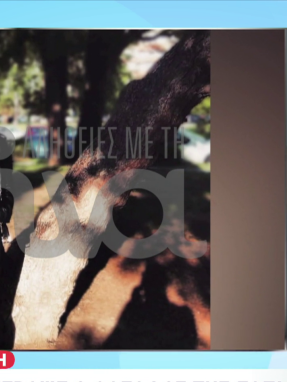 stargr_zina_tempi_tragoudi_transfer