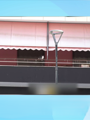 stargr_zina_zografou_sompolos_transfer