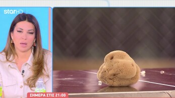 stargr_breakfast_masterchef_apokleistiko_apospasma_11_03_26