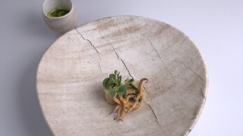 mc7_ep49_soupiokalamaro-dimitris-kontaratos