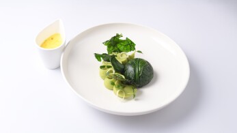 mc7_ep67_piato-antigrafis-nikos-apostolakis