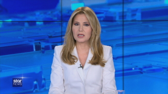 mesimerianodelt130222_