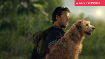 arthur_the_king-1920x1080-on_demand