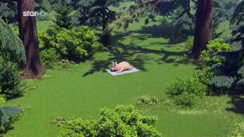 masha_and_the_bear-ep141