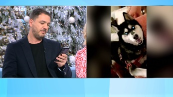 amtz_221223_oliver_ii