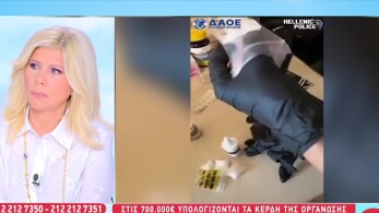 stargr_zina_mykonos_narkwtika