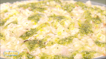 stargr_breakfast_syntagi_03_06_24