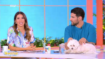 breakfast_25062025_backup