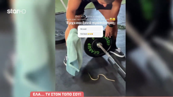 stargr_breakfast_tounh