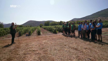 farma_s03_ep11-_apostoli_epistati_epathlo