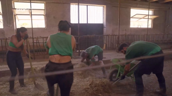 farma_s03_ep14_aeras-apostoli-epistati-poia_omada_kerdise