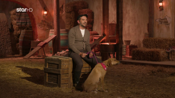 farma_s03_ep18_aeras