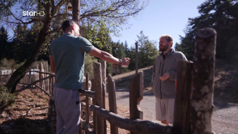 farma_s03_ep22-_vaggos_dimitris_kinisi_simfiliwsis