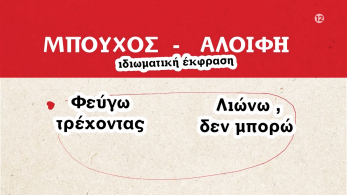 fd-teaser-mpouxos