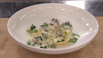 mc7_ep45_raviolia-gemista-koutsopoulos