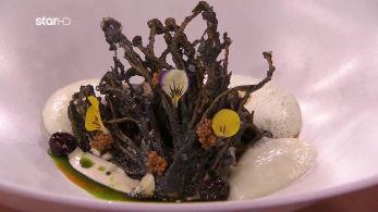 stargr_mc25_ep45-_piato_antigrafis-_aggeliki_xarami