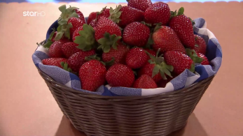 stargr_mc25_ep74-_test_dimiourgikotitas