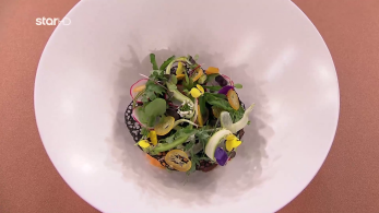 stargr_mc25_ep84-_piato_antigrafis_andreas_mpolanos